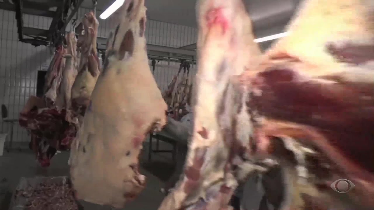 Exportação de carne brasileira para Argentina bate recorde