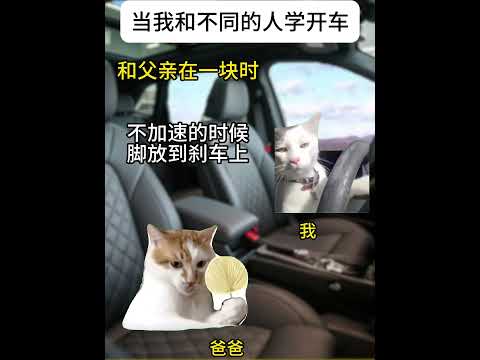 猫の動画サムネイル - 我的兄弟车技一定很好 #有趣 #猫meme #猫meme剧场 #内容过于真实  #故事 #貓 #猫猫meme小剧场 #喵不可言