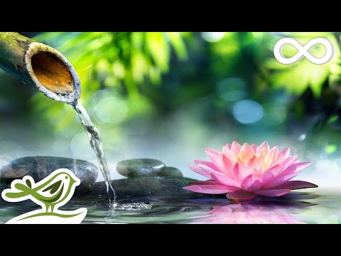 Relaxing Piano Music: Relaxing Music, Sleep Music, Meditation Music, Spa Music ★109 - UCjzHeG1KWoonmf9d5KBvSiw