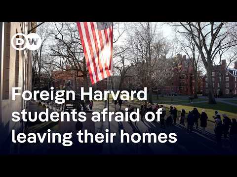 What Trump's next move against Harvard means for foreign students | DW News