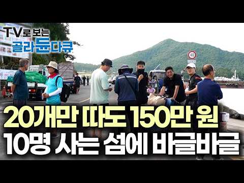1년 중 딱 한 달만 가능, 10명 사는 섬 독거도에 사람들 바글바글 몰린 이유｜한국기행｜#골라듄다큐