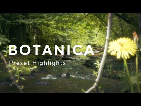 Botanica by Phritz - Preset Highlights