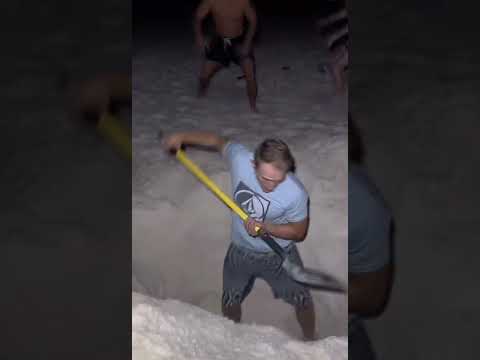 POV People at the Beach Be Like… 🏖️😂