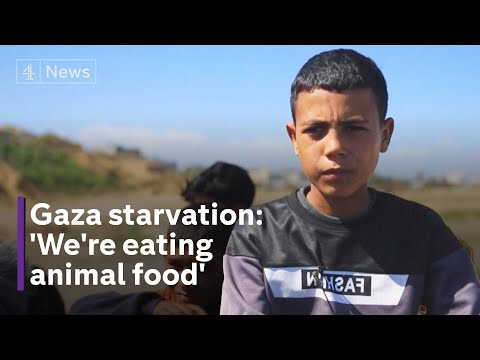 Israel Gaza war: more children dying of starvation warns WHO