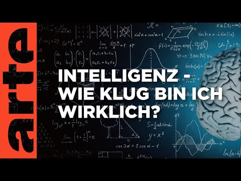 Wie klug bin ich wirklich? - Über den Wert unseres IQ | ARTE Saloon Livetalk