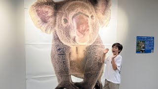 動画サムネイル