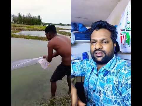 like comment subscribe kar do bhai 👍👍👍👍👍👍👍👍👍👍👍👍👍