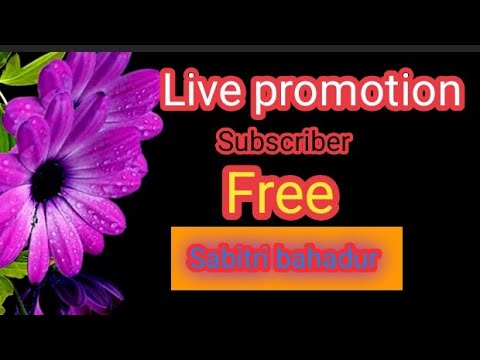 🔴 live channel checking promotions freelGet 10+ Subscribe Free | Live Channel Checking l livestream