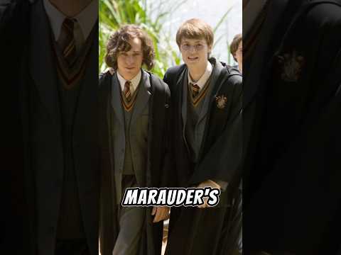 Shocking Harry Potter Fact Only True Potterheads Know😱 #harrypotter #facts #subscribe #shorts