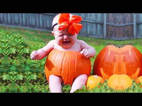 Babies Halloween Fun Fails and Moments - Halloween 2020 Funniest Home Videos