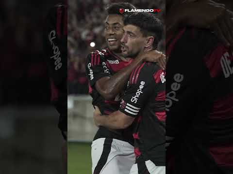 image para ilustrar o artigo