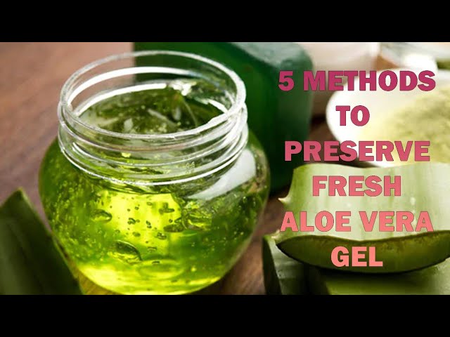 How to Preserve Your Aloe Vera Plant