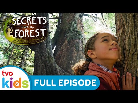 West Coast Wonders 🌊🌳 SECRETS OF THE FOREST - Season 1 Full Episode | TVOkids