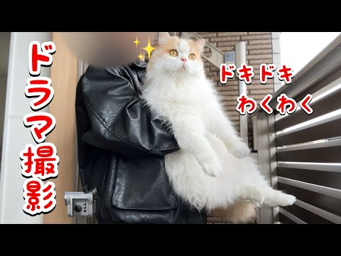 ドラマ撮影が来て意外とノリノリでたのしそうな猫が可愛すぎました！