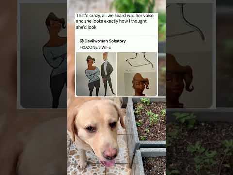 #memes #story #dog #shorts #pets