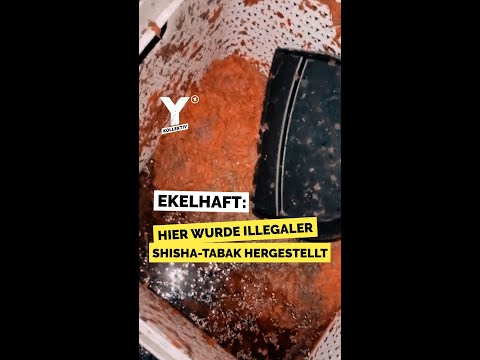 Hier wurde illegaler Shisha-Tabak hergestellt #shorts