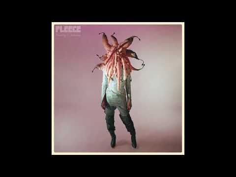 FLEECE - Like It A Lot (Official Audio)