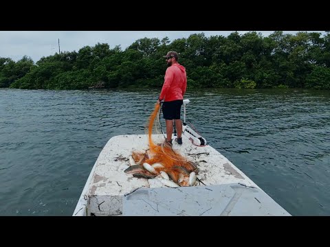 They call it bait, I call it money $$$ video thumbnail