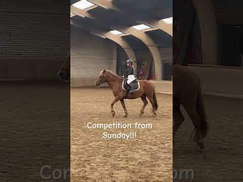 I'm first!!!❤️🐴🥇