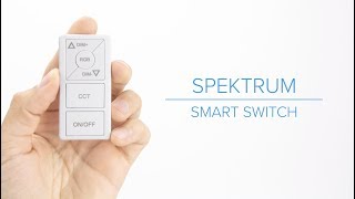 Spektrum Smart Switch