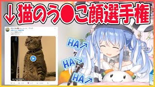 【ホロライブ切り抜き】猫のう●こ顔選手権のバズツイートに腹筋が崩壊するぺこら【兎田ぺこら/hololive】