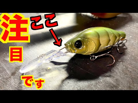 【バス釣り福袋ちょっとまて！】マジで注目のルアー達を紹介いたします！