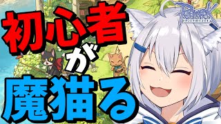 【RO】今こそ修行の成果を見せる時！魔猫で試練の迷宮！【ラグナロクオンライン】