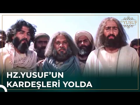 Kardeşler, Buğday İçin Yola Çıktı | Hz. Yusuf