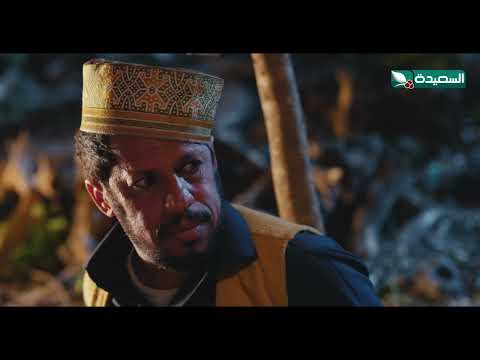قناة السعيدة الفضائية