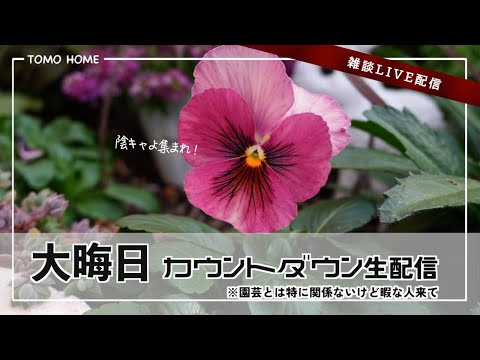 【12/31  11時〜】2024年を振り返る・暇だからみんなで年越しよう【カウントダウン配信】