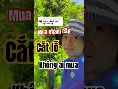 Mua nhầm cây chán Bán cắt lỗ không ai mua
