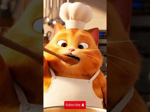 Funny Cat video 🤣🤣🤣