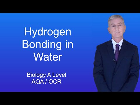 A Level Biology Properties and roles of Water part 1