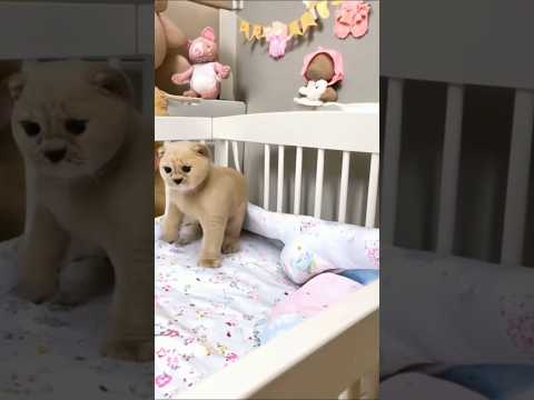 My Little Cartoon Cat awoke in the morning #cartooncharacter #music #tinytunes #theskids #cat #cute