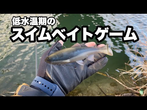 これからの時期にデカバスを釣りたい方は是非試して欲しいです。