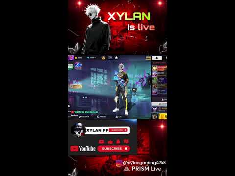 XYLAN Is Live