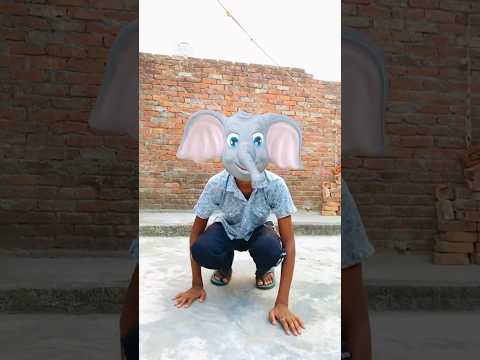 Dono ne pareshan kar diya 😱😅 #shorts ￼#comedy #funny #shortsfeed #youtubeshorts #shortvideo