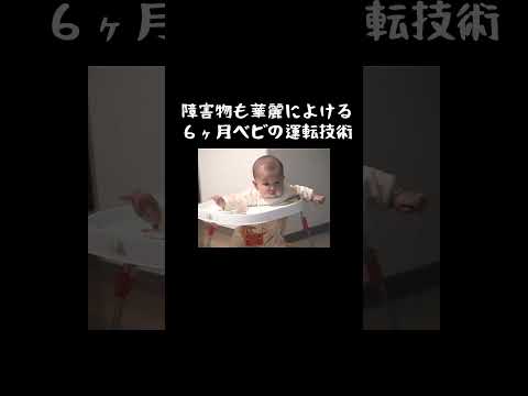 障害物も華麗によける６ヶ月ベビの運転技術　#shorts　#スー　#６ヶ月