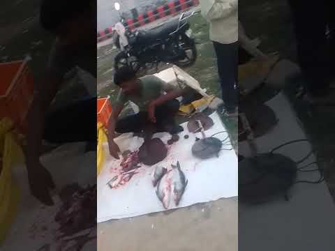 #shortvideo आज करनाईपुर बाजार मछली खरीदने गए