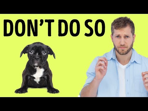 12 Things Your Dog Hates About You - UC4rlAVgAK0SGk-yTfe48Qpw