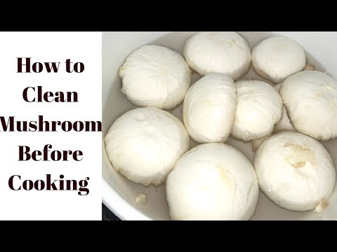 मशरूम साफ करने का एकदम आसान और सही तरीका - How to Clean Mushroom Before Cooking in Hindi - UCk0haN5glRl_kmmsxFxYeAg