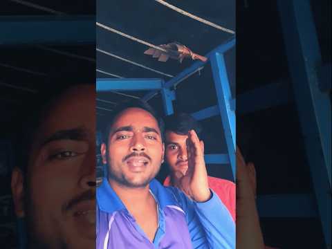 उड़ चल हंशा अमरलोक मे 🦢🕊️🕊️😭💯🙏#nirgun #nirgunbhajan #shorts #youtube #youtubeshorts #bhojpuri