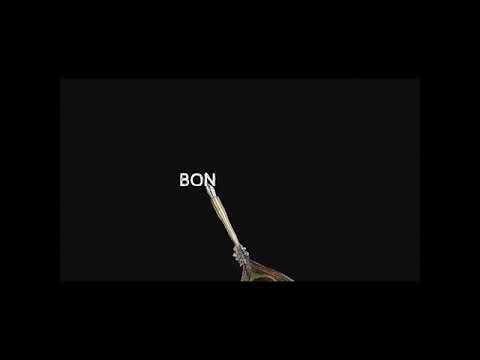 Rudra's 10th Birthday!!! 🥳🥳 10 years journey 😊😊