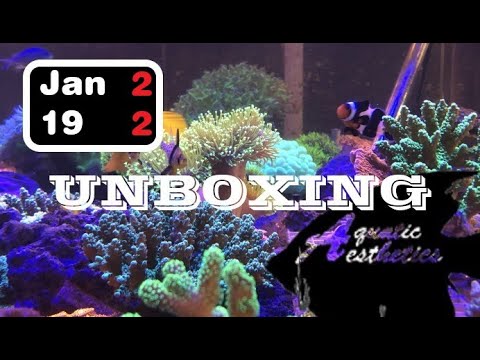 Unboxing Jan 19 Aquatic Aesthetics
5622C TN Hwy 153
Chattanooga/Hixson
423.386.5759

Be sure to catch Rob and the re