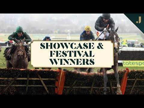 Cheltenham Festival pointers at The Showcase?