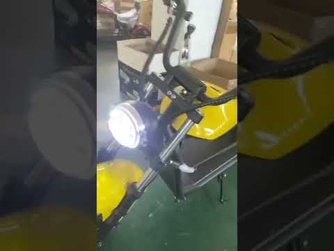 Electric Scooter motorcycle citycoco HL6.0 model chopper strong motor