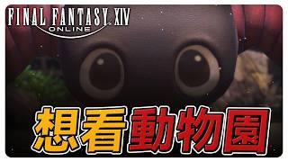 《FF14繁中》能看到動物園嗎？！零式阿卡狄亞 次重量級M5S 占星視角 #繁中豆芽 #秋芽說 #ffxiv  【台灣Vtuber】