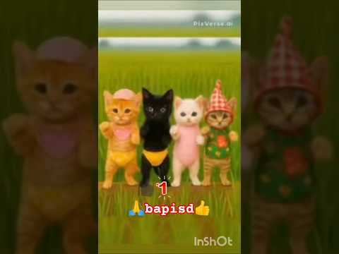 lah dia kaget 🤣। #short। #youtubeshorts। ytshorts। #trending। #short। #virel। #vided🙏