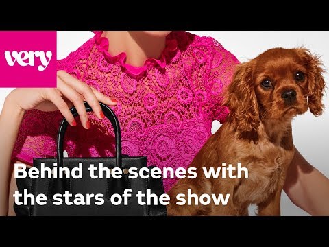 very.co.uk & Very Voucher Code video: Behind The Scenes: Dog Fashion Shoot | Very Fashion
