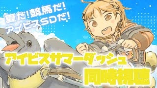 【アイビスSD同時視聴】夏、駆け抜けろ〜〜〜！！🏇🌻【烏丸ぴょこ/#ぶいぱい】
